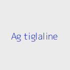 Agence immobiliere ag tiglaline